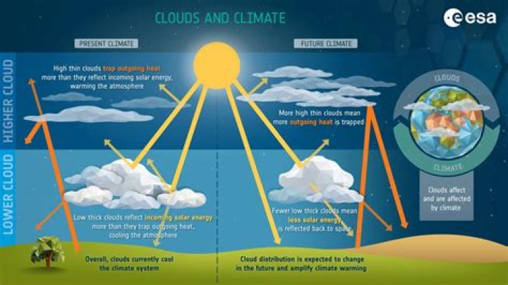 How does climate change affect cloud forests?