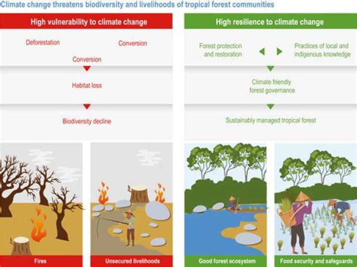 How does climate change hurt the poor?