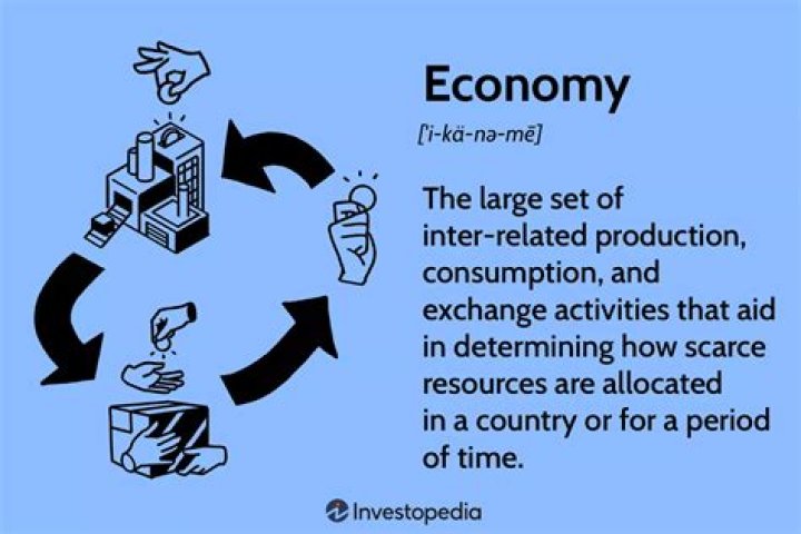 How does economy affect the environment?