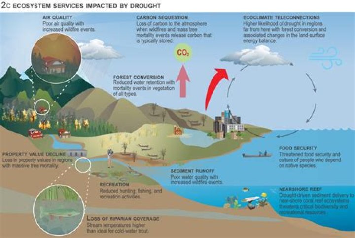 How does extreme weather affect humans?