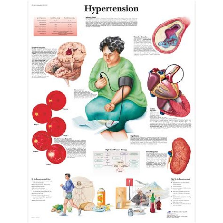 How does hypertension affect the circulatory system?