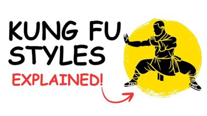 How does kung fu iron shirt work?