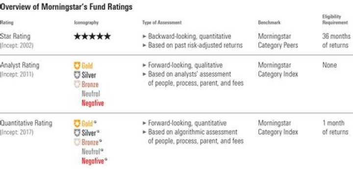 How does Morningstar measure risk?