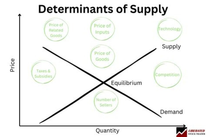 How does number of producers affect supply?