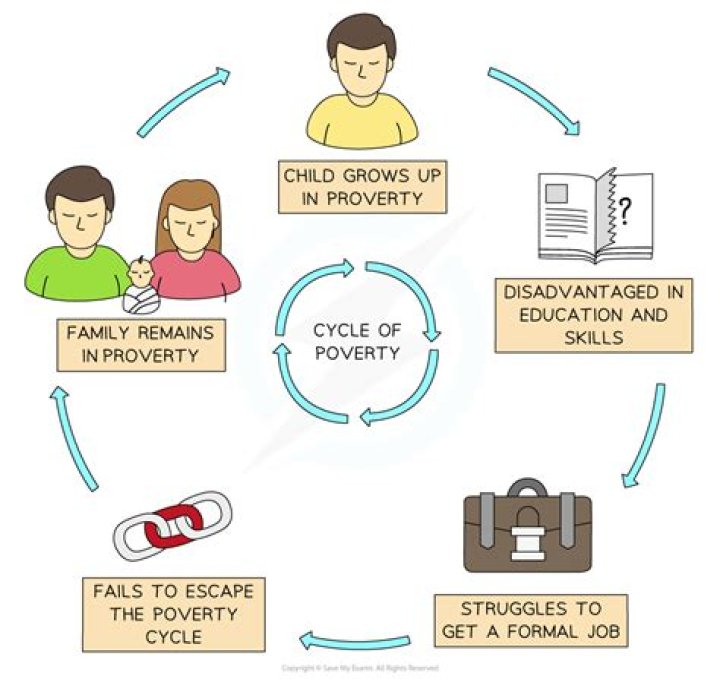 How does poverty reduce environmental quality?