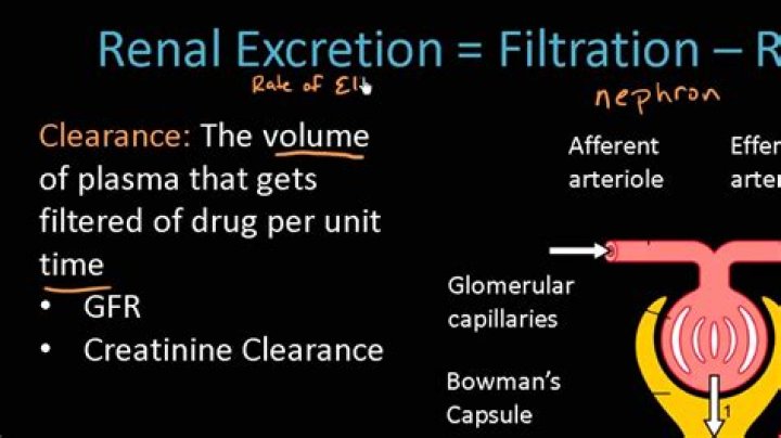 How does renal function affect pharmacokinetics?