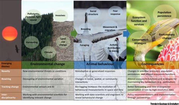 How does the environment affect the economy?