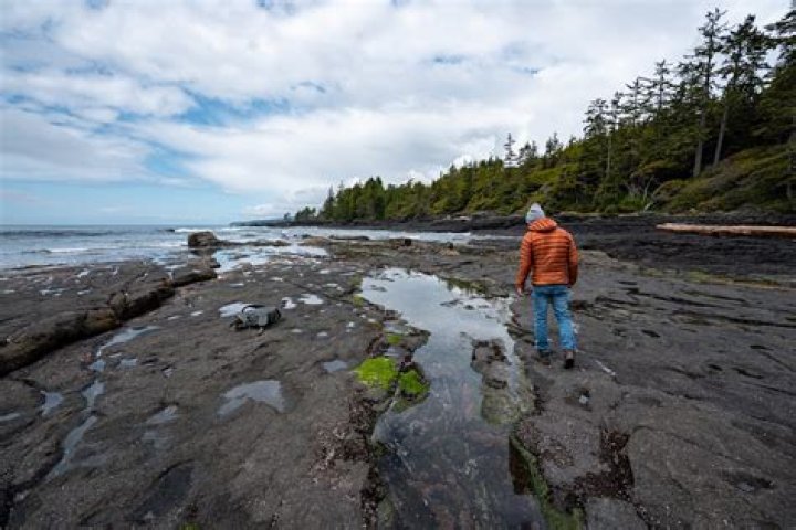 How high is the tide on Vancouver Island?