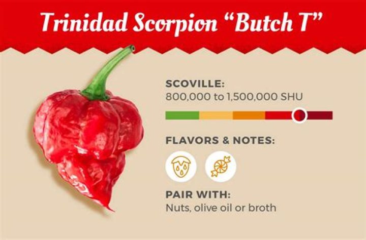 How hot is the Trinidad Scorpion Butch T pepper?