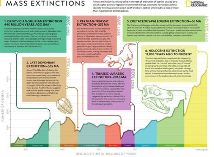 How is a mass extinction defined?