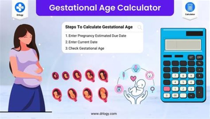 How is EDC calculated in pregnancy?