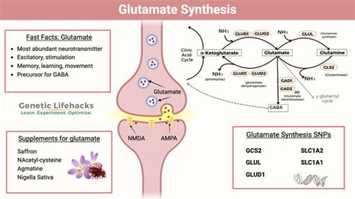 How is glutamate related to depression?