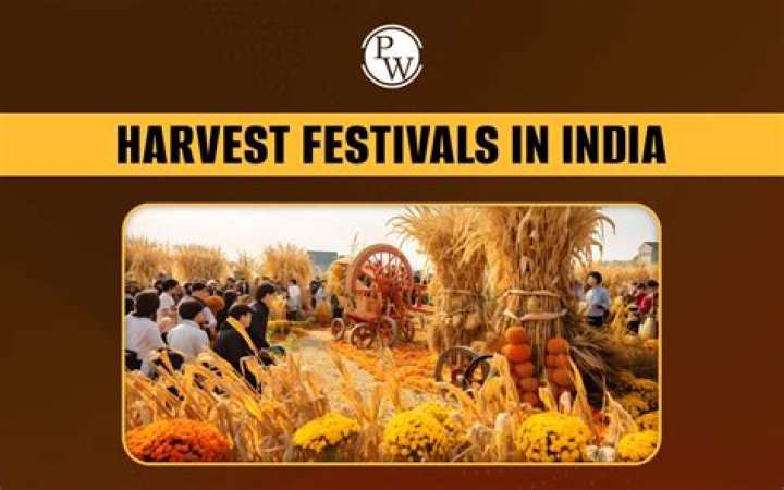 How is harvest celebrated in Argentina?