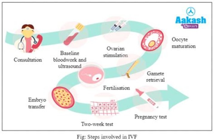 How long after IVF can you do a pregnancy test?