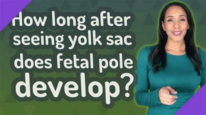 How long after yolk sac does fetal pole develop?