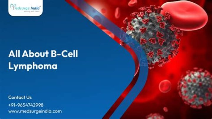 How long can a dog live with B cell lymphoma?