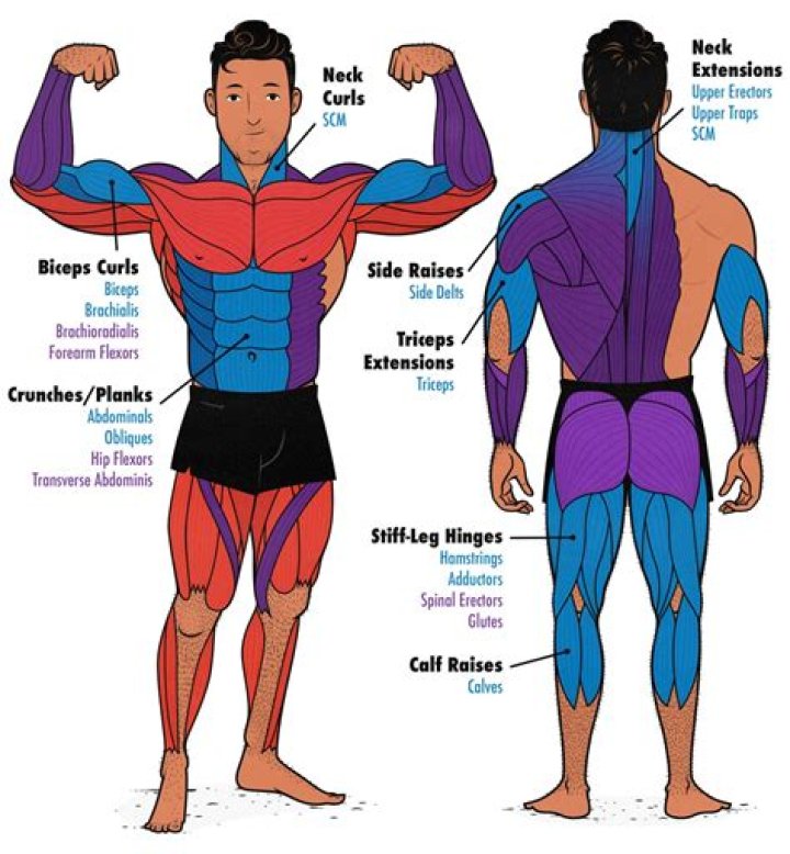 How long do you need to train for a bodybuilding competition?