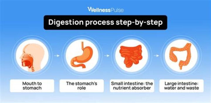 How long does anaerobic digestion take?