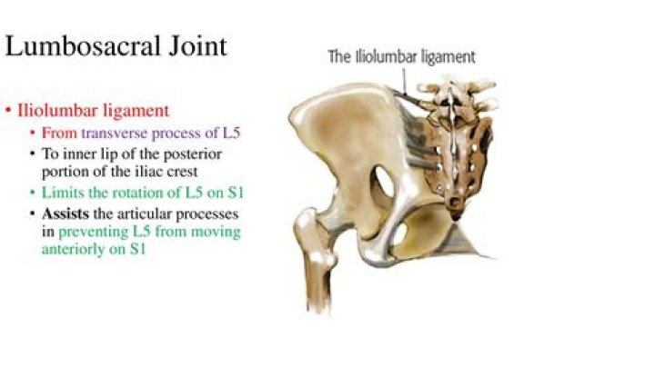 How long does iliolumbar ligament take to heal?