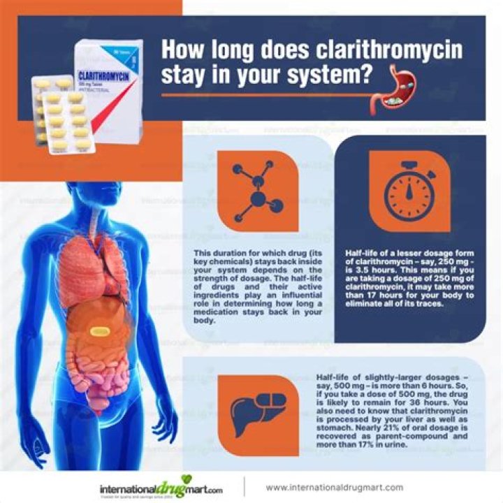 How long does it take for clarithromycin to clear your system?