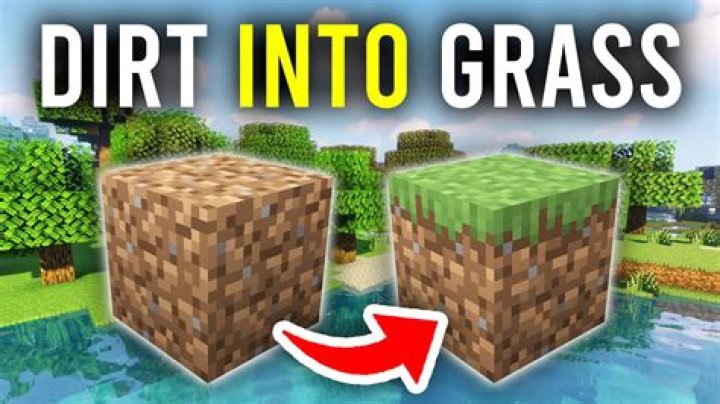 How long does it take for dirt to grow grass in Minecraft?