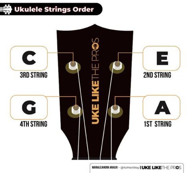 How long should ukulele strings last?