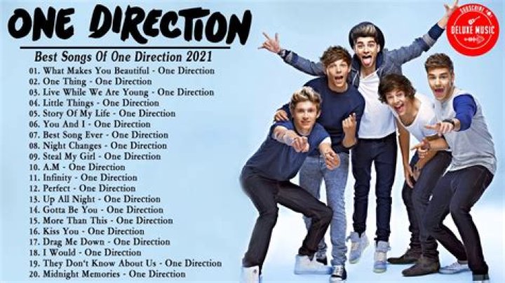 How many 1d songs are there?