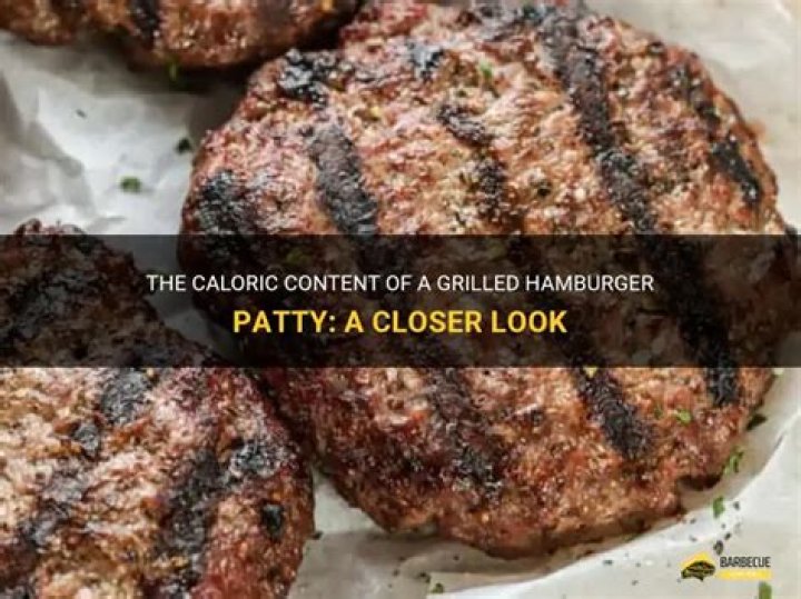 How many calories in a hamburger patty no bun?