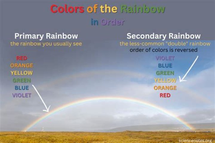 How many colors does Spectrum Noir have?