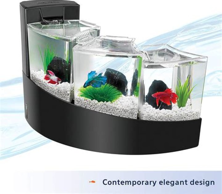 How many gallons is the Betta falls tank?