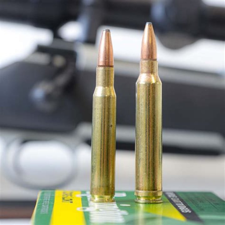 How many Mauser actions are there?