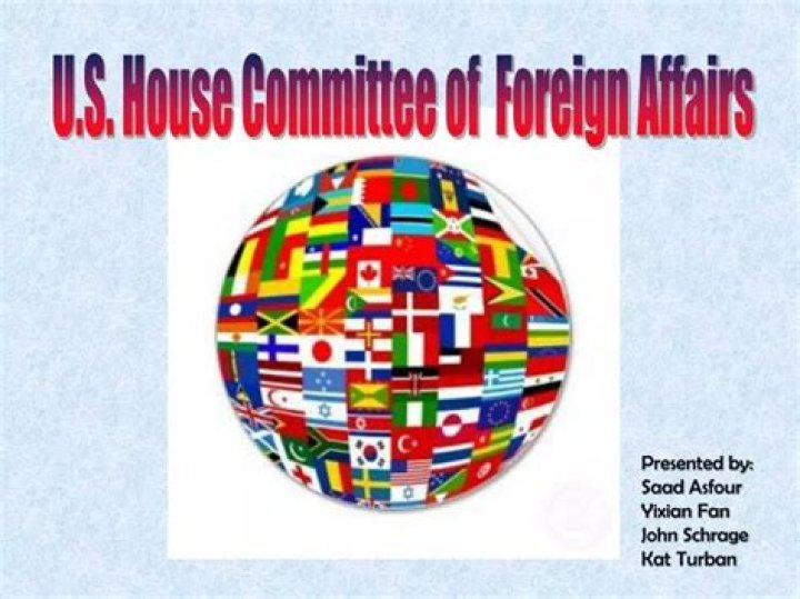 How many members are on the committee of foreign affairs?