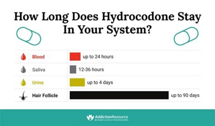 How many milligrams of hydrocodone can you take in 24 hours?