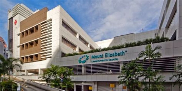 How many Mount Elizabeth Hospital in Singapore?