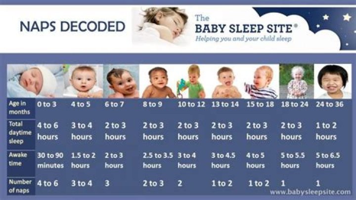 How many naps should a 9 week old take?