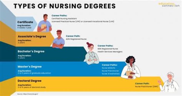 How many nursing schools are there in the Philippines?