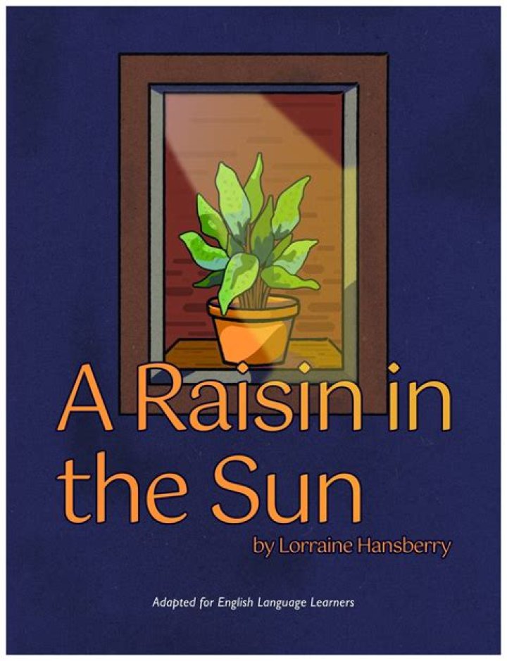 How many pages is the book A Raisin in the Sun?