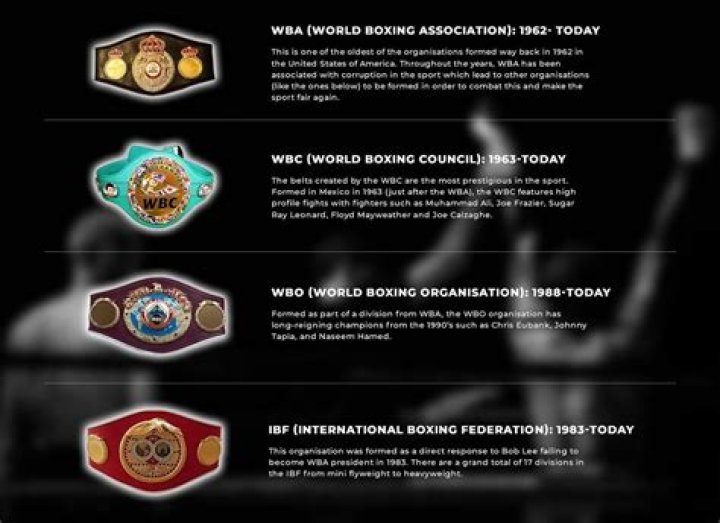 How many title belts are in boxing?