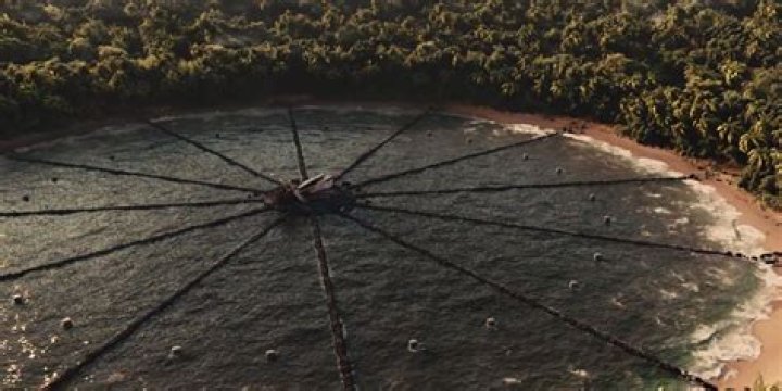 How many tributes died in the bloodbath at the Cornucopia?