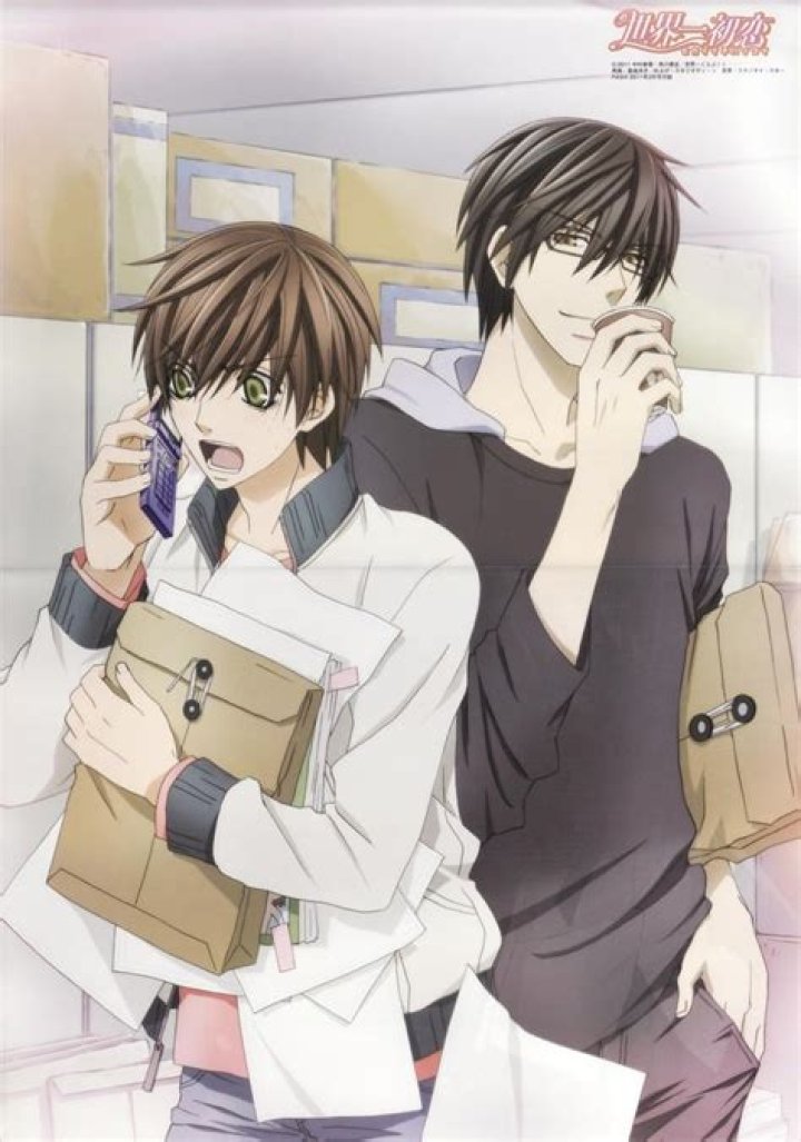 How many volumes are there of Sekaiichi hatsukoi?