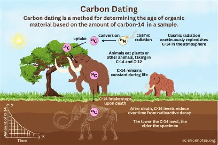 How many years does it take for carbon-14 to break down?
