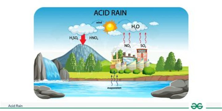 How might acid rain affect local economies?