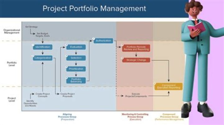 How much do junior portfolio managers make?
