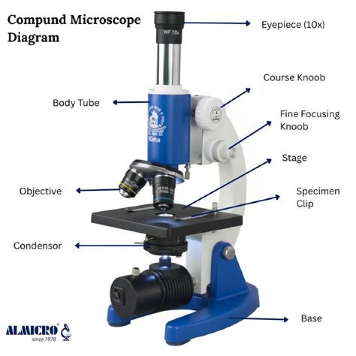 How much does a compound light microscope cost?
