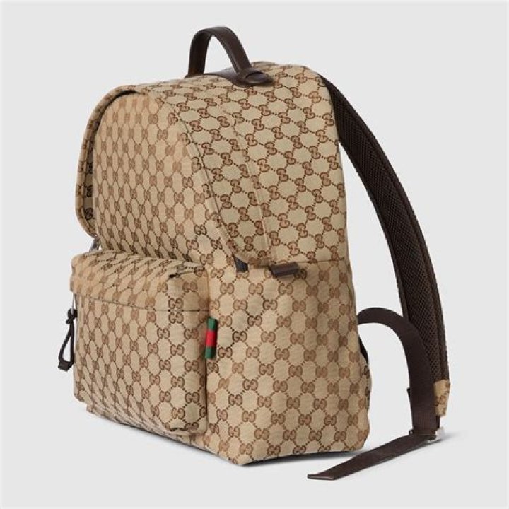How much does a dog backpack cost?