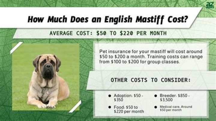 How much does a English Mastiff puppy cost?