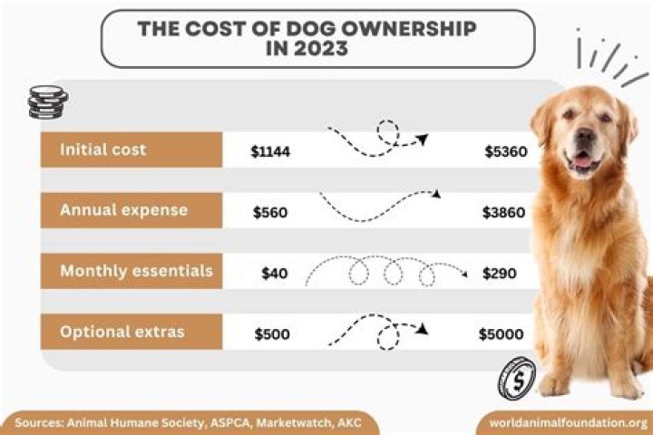 How much does a finished gun dog cost?