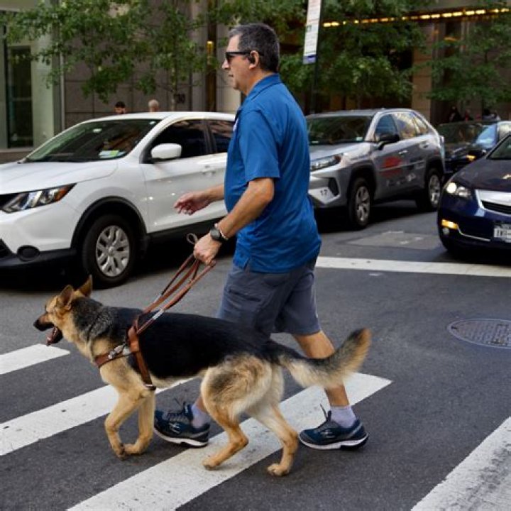 How much does a fully trained Seeing Eye dog cost?