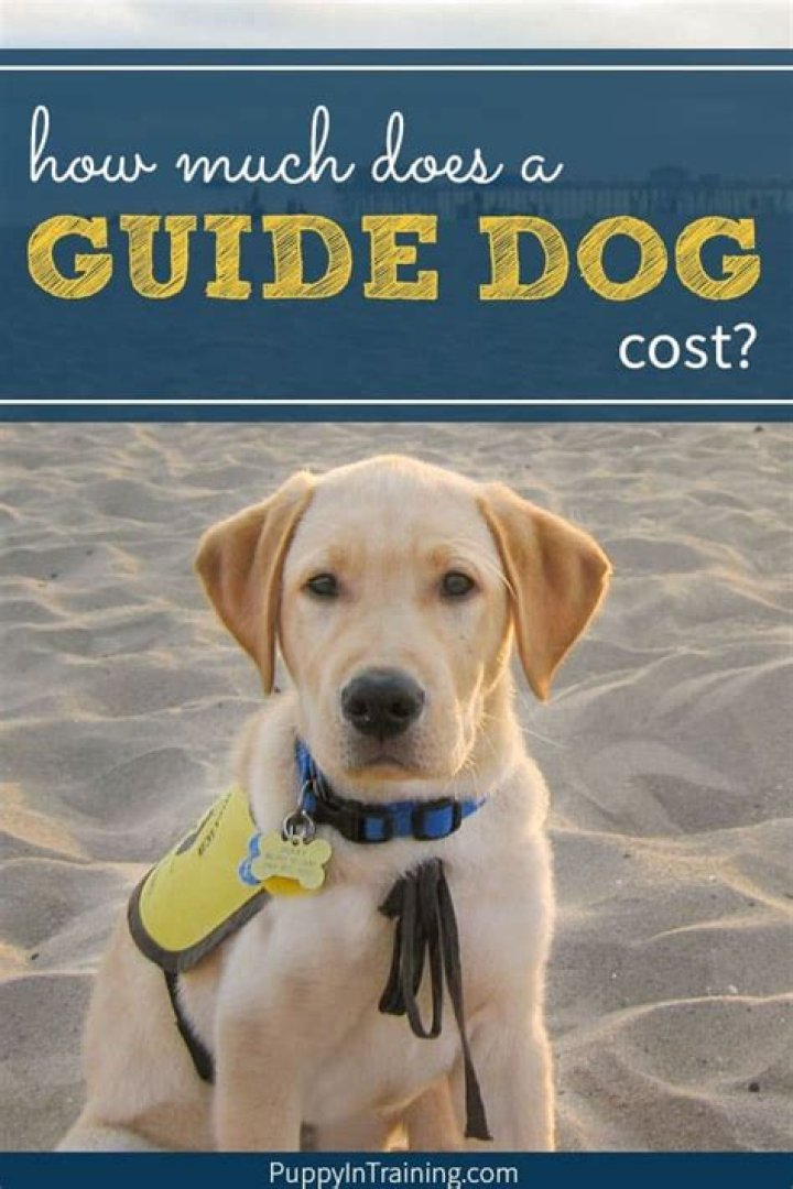 How much does a guide dog cost Australia?