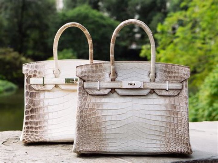 How much does a Himalayan Birkin bag cost?